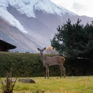 La Pagode, Vue Mont-blanc Et Jardin Prive Appartement